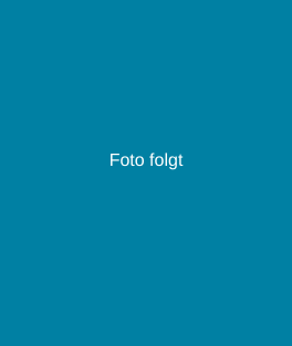 Fotofolgt